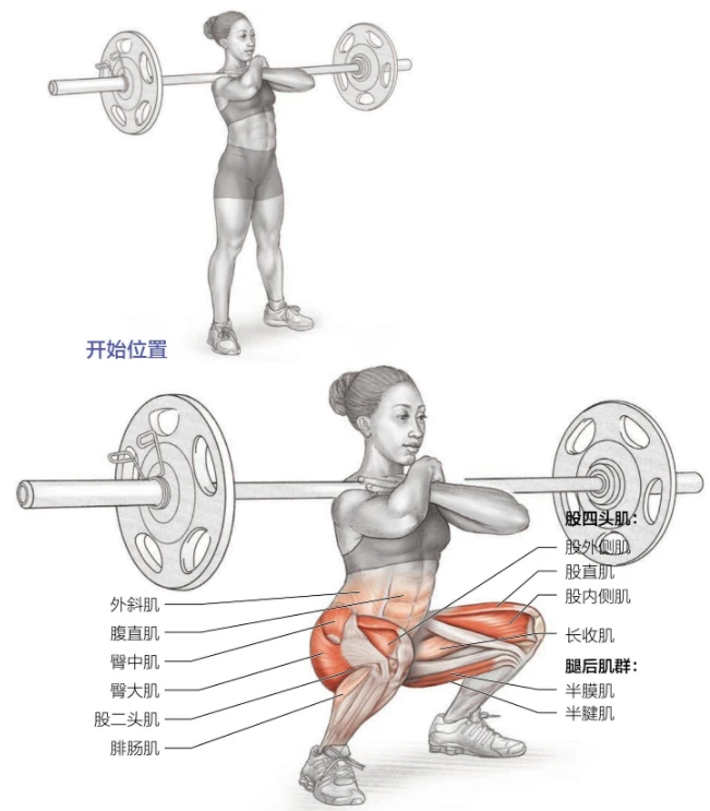青少年篮球爱好者综合训练方案_1